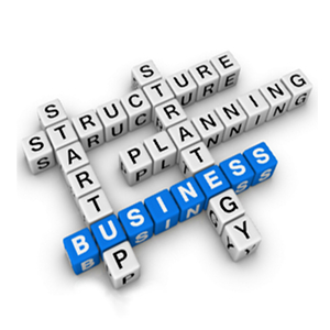French Professionnal Services for Business Implementation